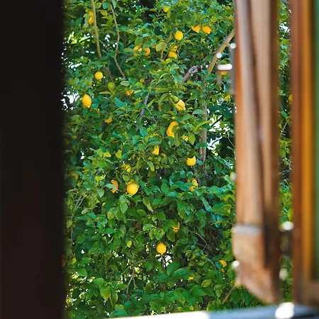 Refugio Da Canicada - T4, Piscina Aquecida *