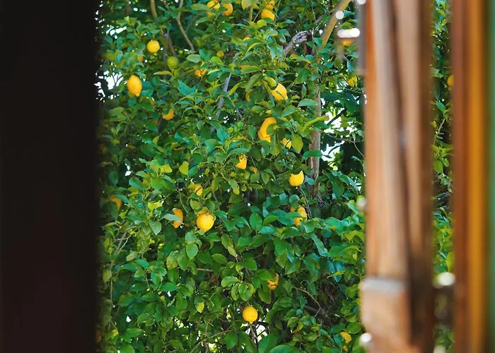 Refúgio Da Caniçada - T4, Piscina Aquecida *